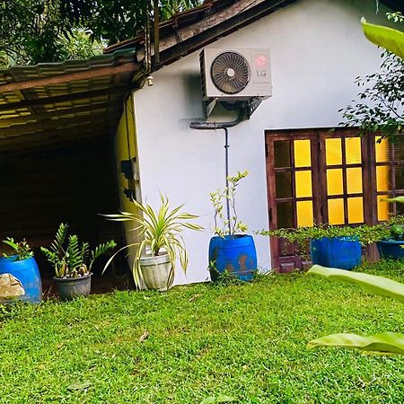Sachi'S Place Tangalle Eksteriør bilde
