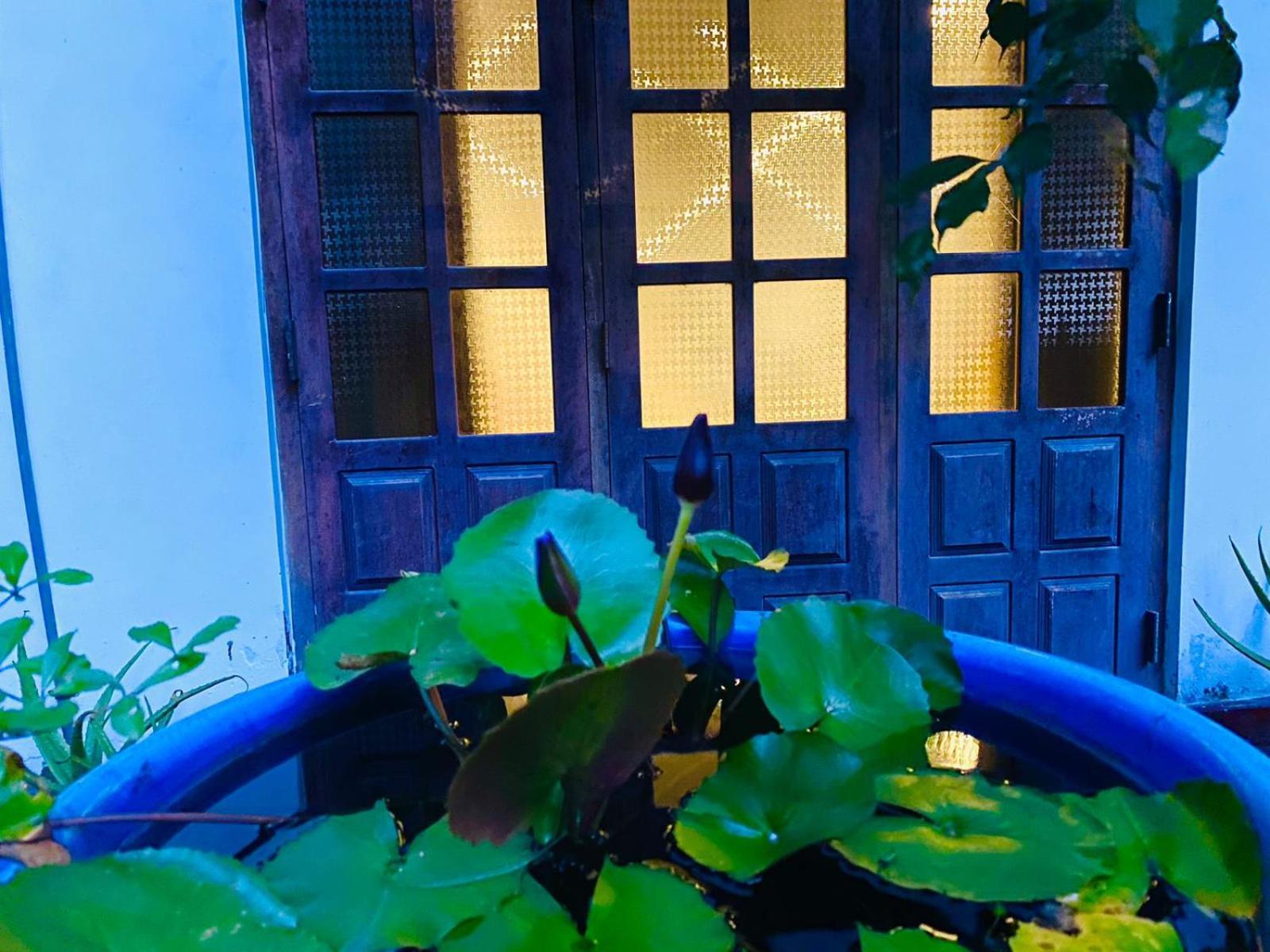 Sachi'S Place Tangalle Eksteriør bilde